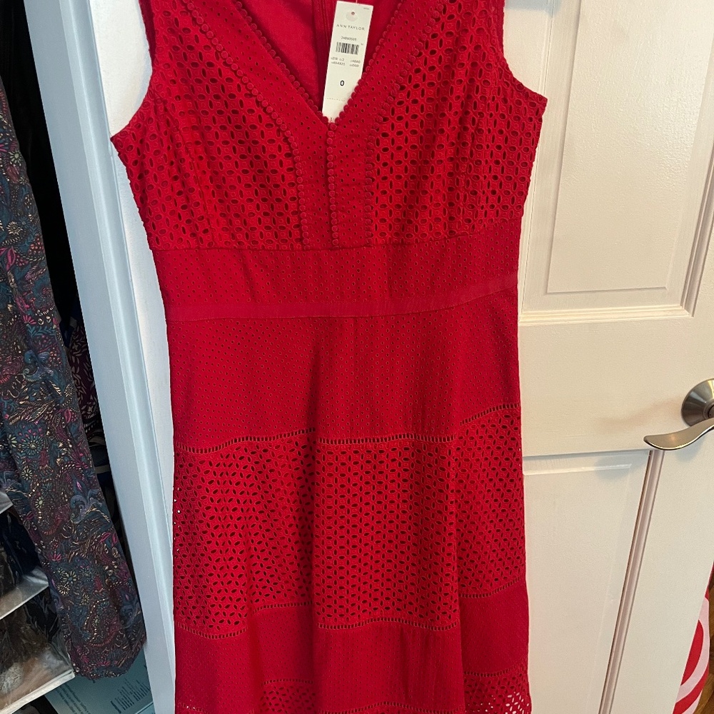 New Ann Taylor party dress